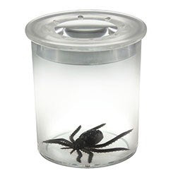 **Bug Viewer Standard