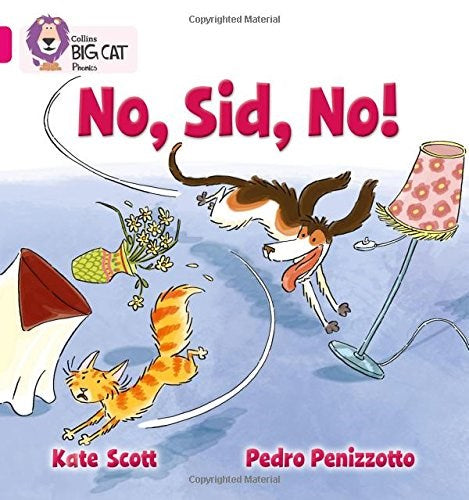 **Big Cat Pink 1B No Sid No Fiction