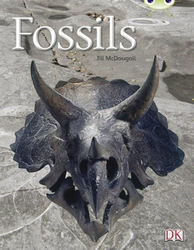 Bc Gold A Fossils Nf Rr21