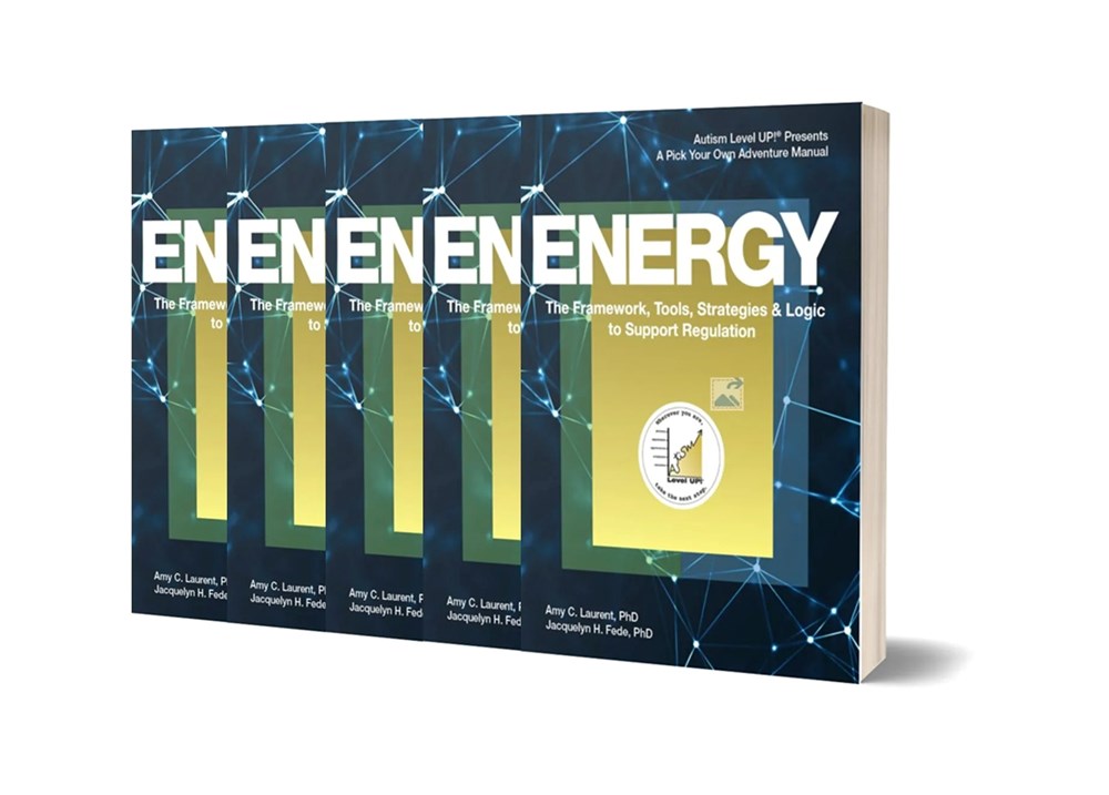 Energy: The Framework, Tools, Strategies & Logic to Support Regulation