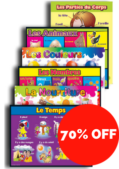 French Vocabulary Posters
