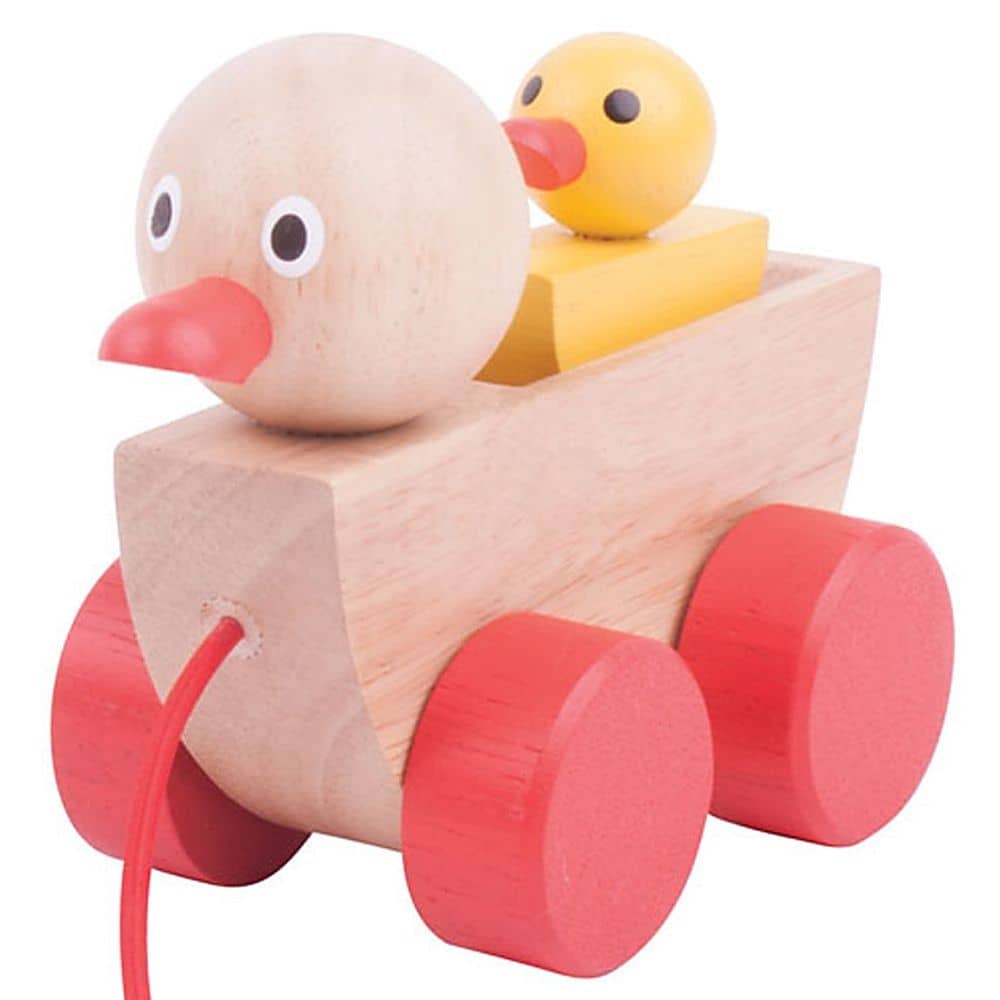 Duck And Duckling