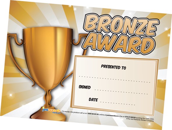 Bronze Award Certificates