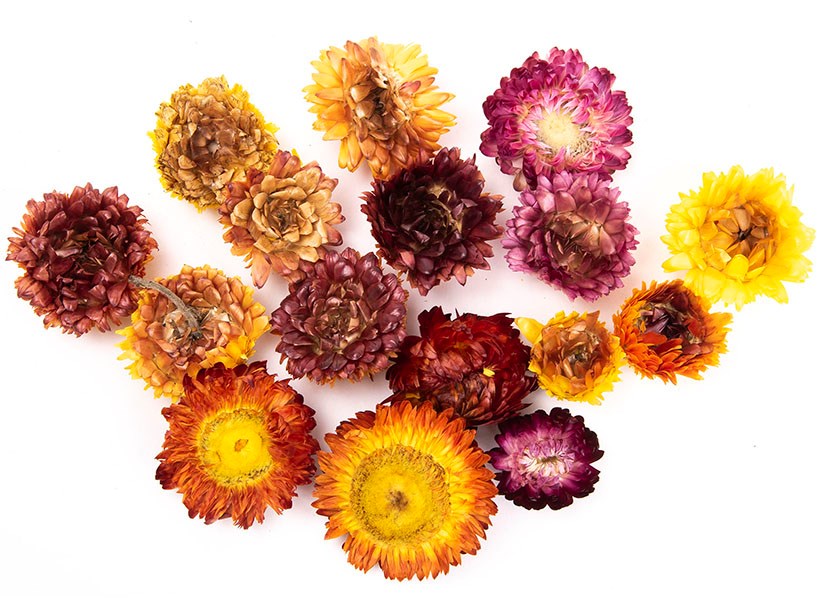**Dried Flower Heads (75gms)