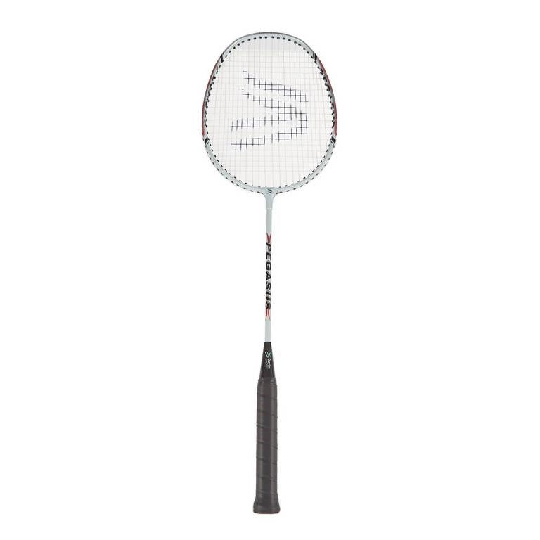 Davies Pegasus Badminton Racket