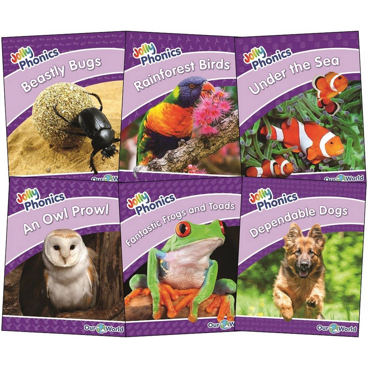 Jolly Phonics Decodable Readers Our World Non-Fiction Readers - Level 5 (Purple Level)