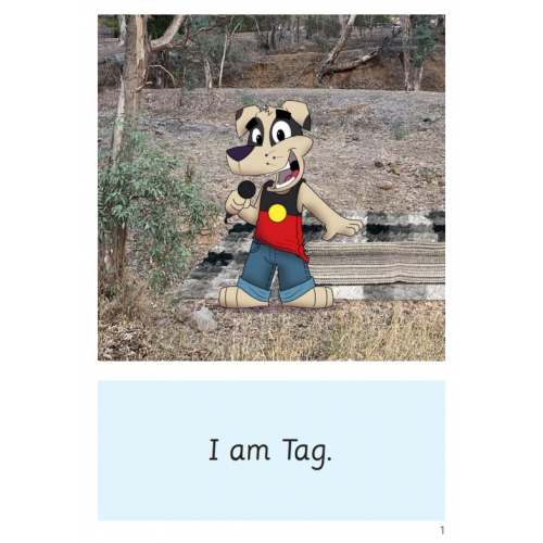 Speld Sa Phonic Books - Set 3 - Classpack (60 Titles)