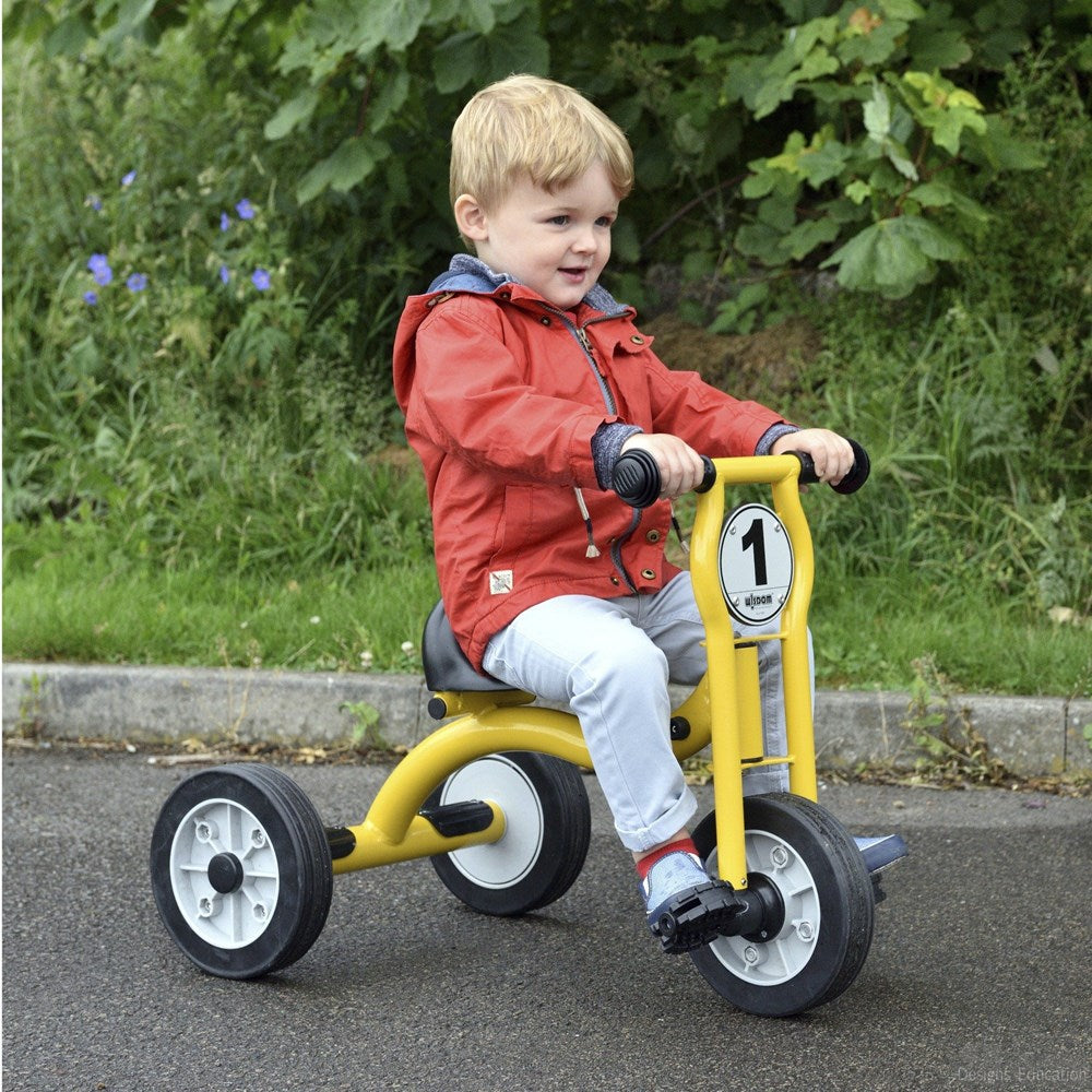 Wisdom Small Trike