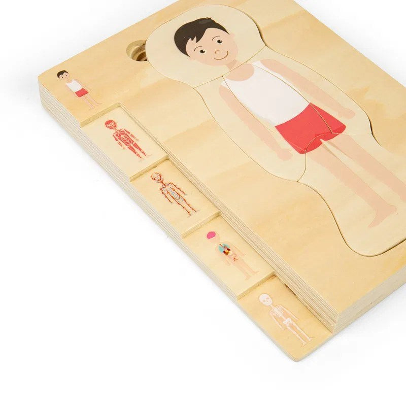 Male Human Anatomy Puzzle