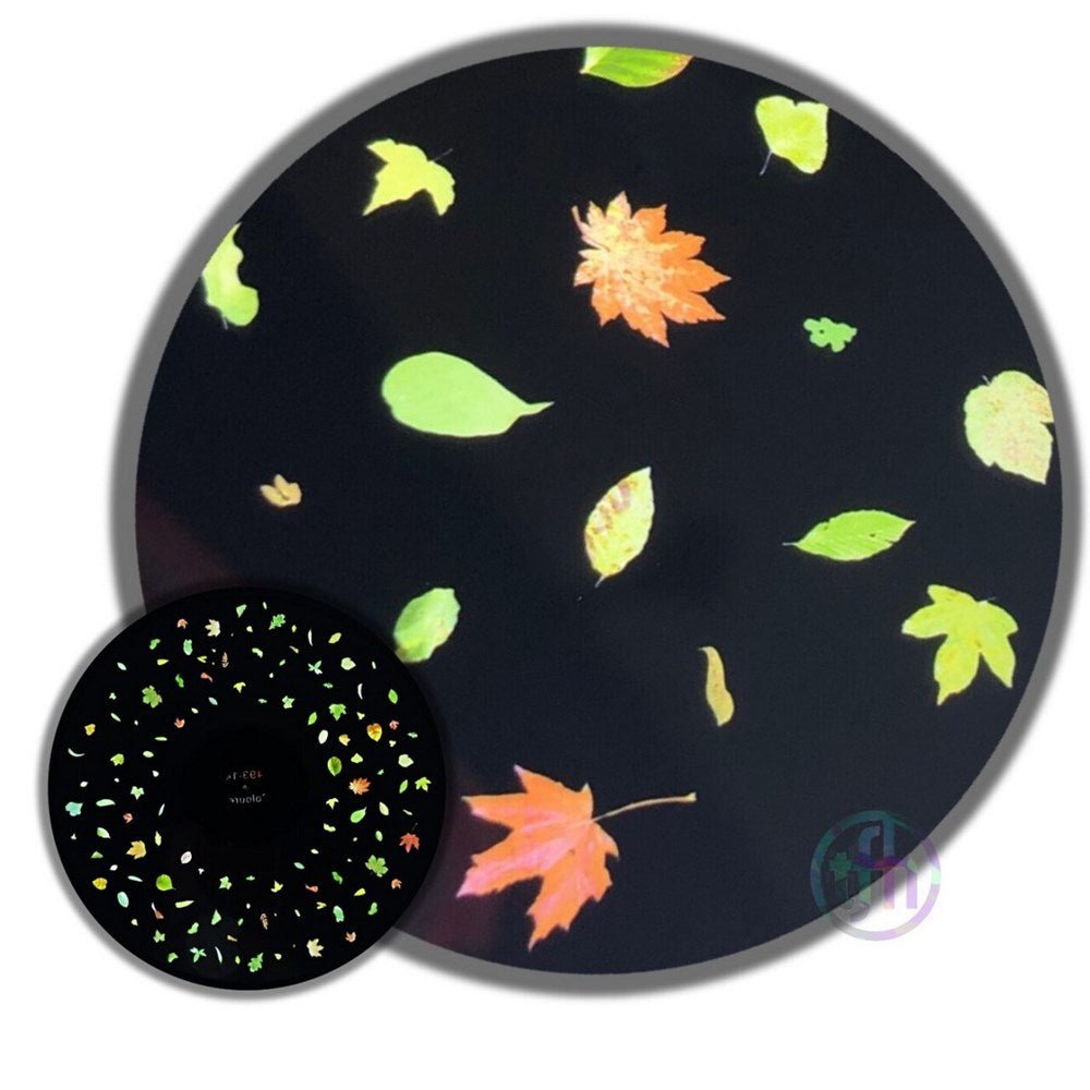 Coloured Leaves - ABC School Supplies