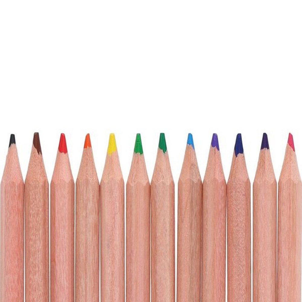 Concept Green Colouring Pencils Pack of 12 - ABC School Supplies