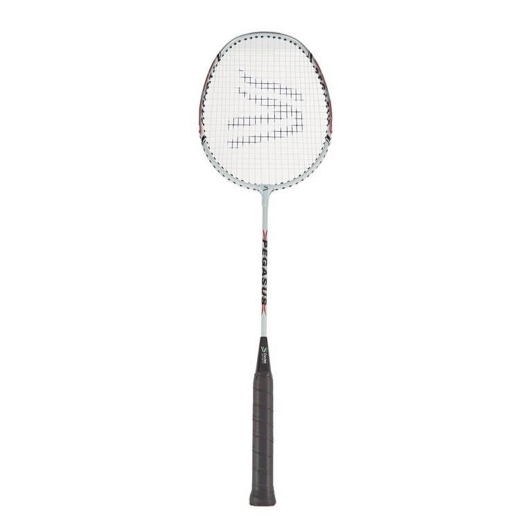 Davies Pegasus Badminton Racket - ABC School Supplies