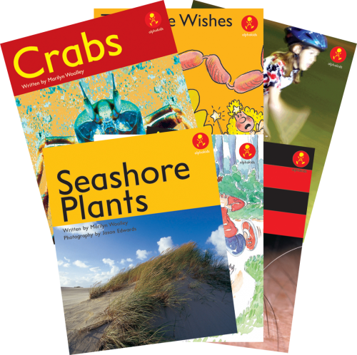 **Alphakids Plus Transitionial Level 16