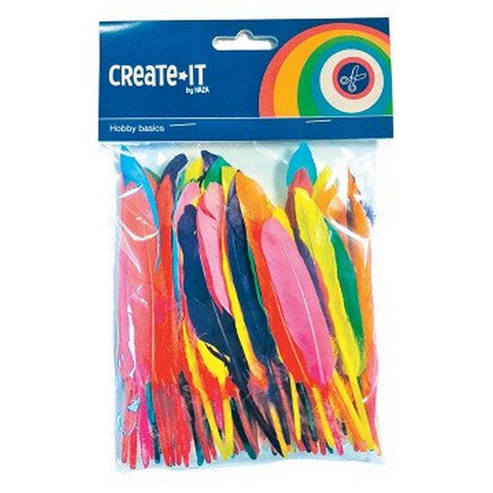 **Feathers Coloured 100 Pc - ABC School Supplies