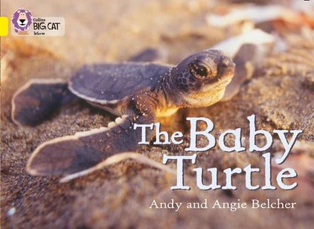 **Big Cat Yellow Baby Turtle Non Fiction