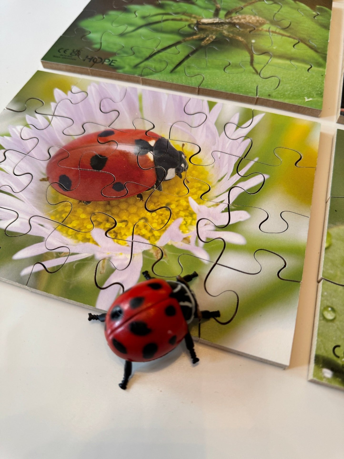 Mini Beasts Puzzles Pack of 12 - ABC School Supplies