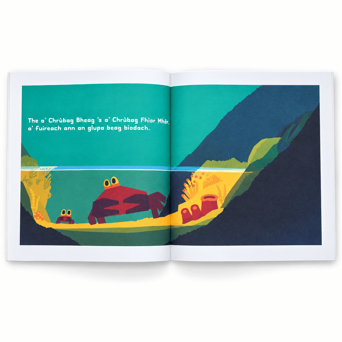 Na Gabh Dragh, a Chrubag Bheag by Chris Haughton - ABC School Supplies