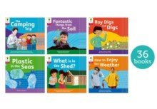Oxford Reading Tree: Floppy's Phonics Decoding Practice: Oxford Level 4: Class Pack Of 36 - ABC School Supplies