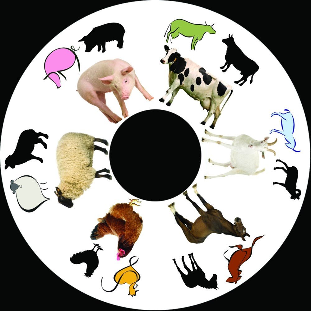 Projector Wheel 6 Inch - Farm Scene - ABC School Supplies