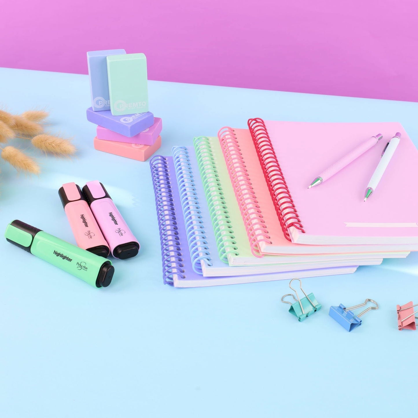 ProScribe Pastel Highlighters Pack of 5 - ABC School Supplies