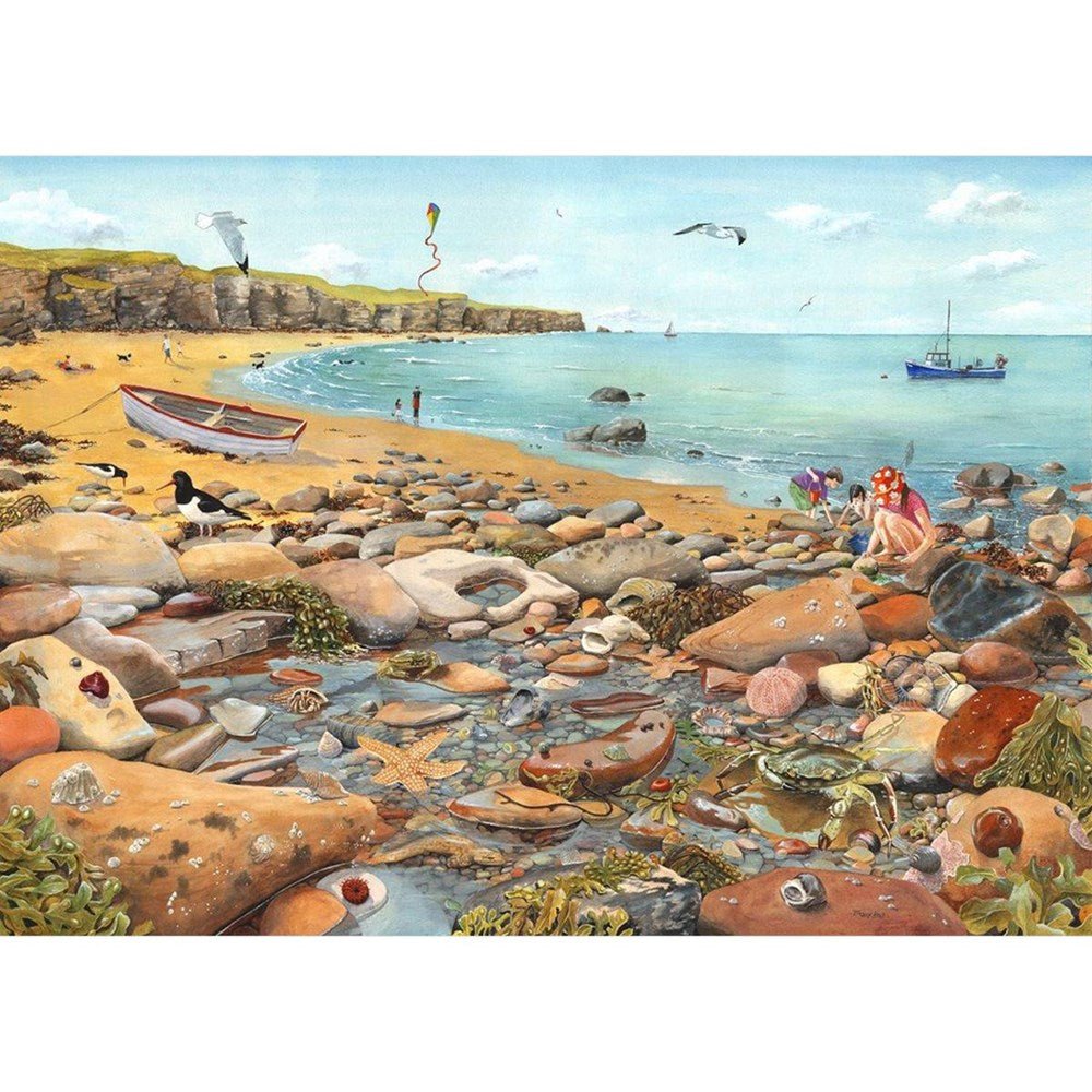 Rock Pool - BIG 500 Piece Jigsaw Puzzle - ABC School Supplies