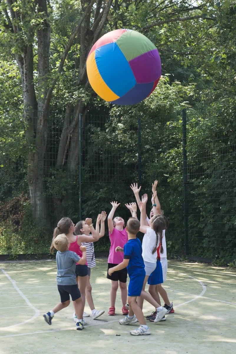 Spordas Colored Cage Ball 85Cm - ABC School Supplies