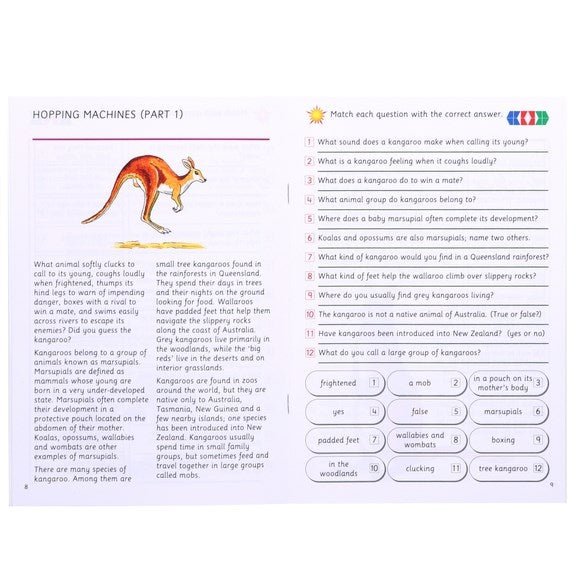 Stile Understanding Texts Book 8 - ABC School Supplies