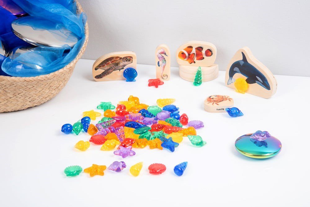 Translucent Colour Shells - ABC School Supplies