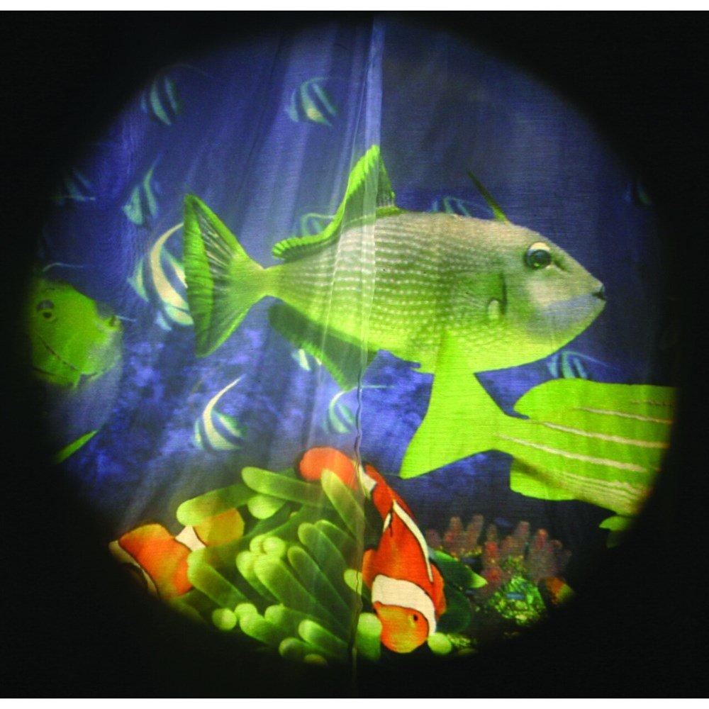 Tropical Fish - Projector Wheel - ABC School Supplies
