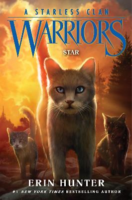Warriors: A Starless Clan 6: Star - ABC School Supplies