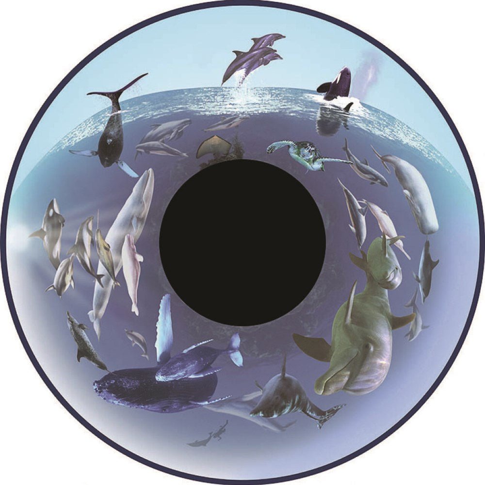 Whales & Sealife – 6 Inch Projector Wheel - ABC School Supplies
