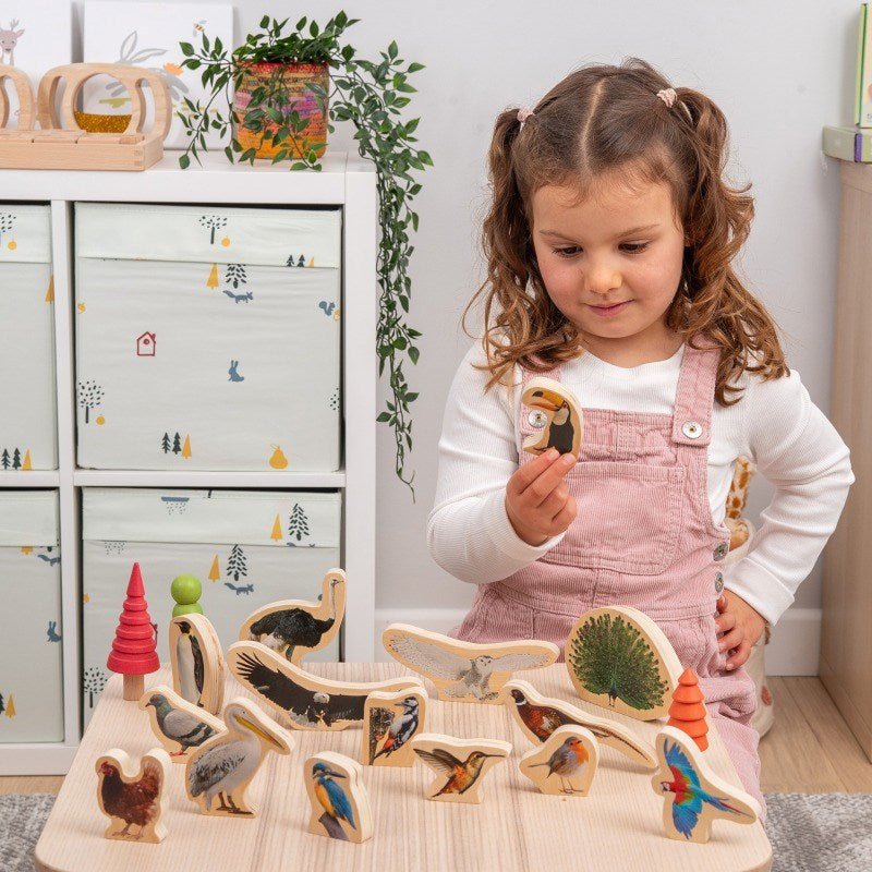 Wooden Bird Blocks 15 Pack - ABC School Supplies