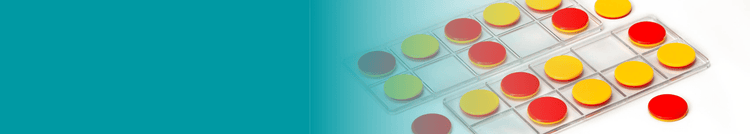 ABC Essentials - ABC School Supplies 