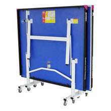 Butterfly Easifold Dx22 Table Tennis Table - Blue