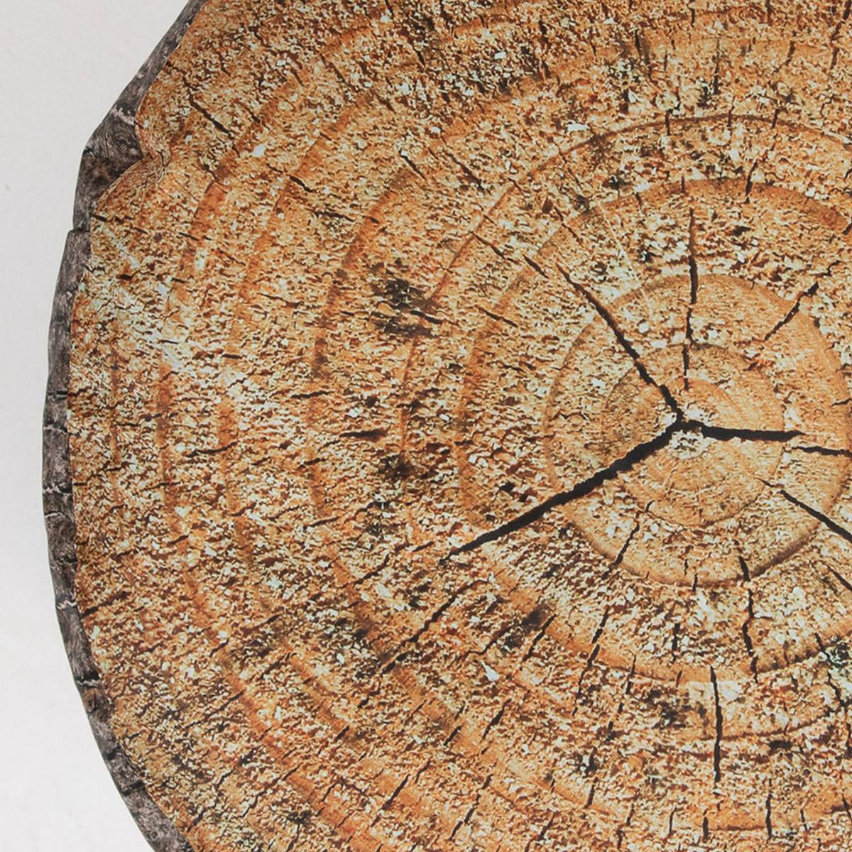 Learn About Nature Tree Stump Stools