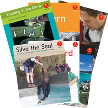 **Alphakids Plus Transitional Level 15