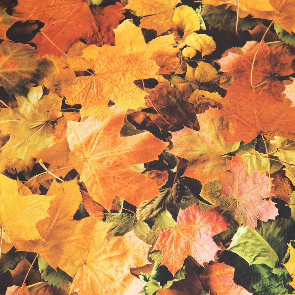 Learn about Nature Autumn Leaves Children’s Bean Bag Floor Cushion