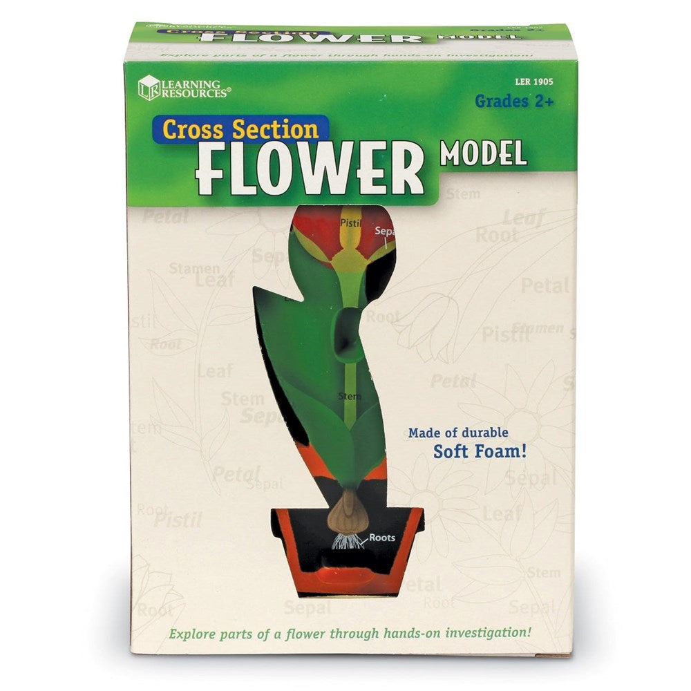 CrossSection Flower Model