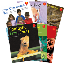 **Alphakids Plus Transitional Level 14