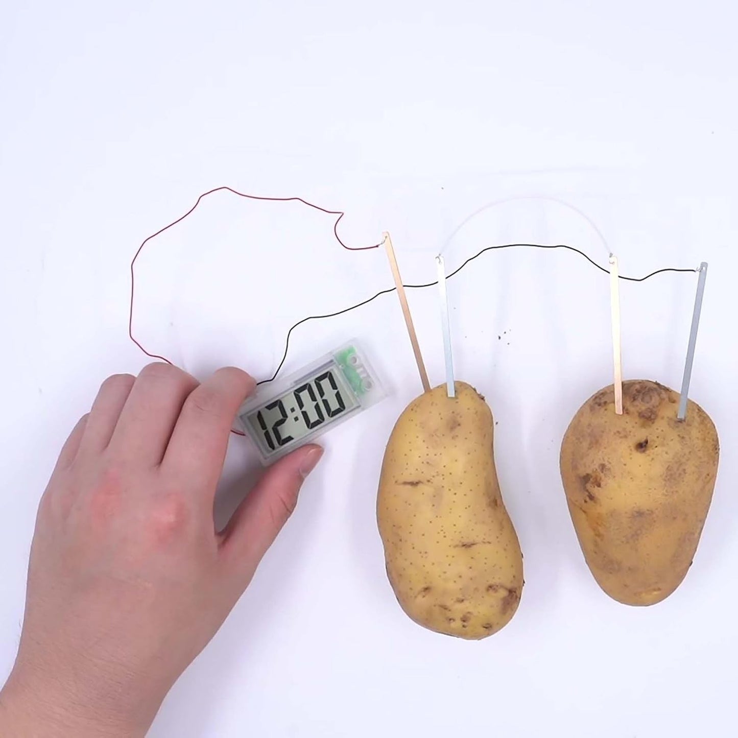 4M STEAM Powered Class Kit: Potato Clock Pack of 6pcs - ABC School Supplies
