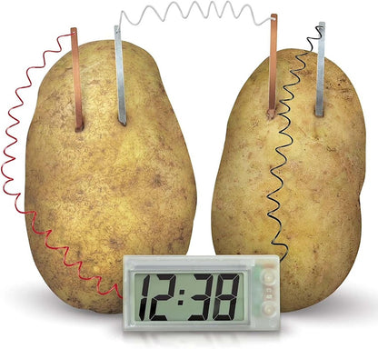 4M STEAM Powered Class Kit: Potato Clock Pack of 6pcs - ABC School Supplies