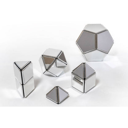 Mirrored Magnetic Polydron