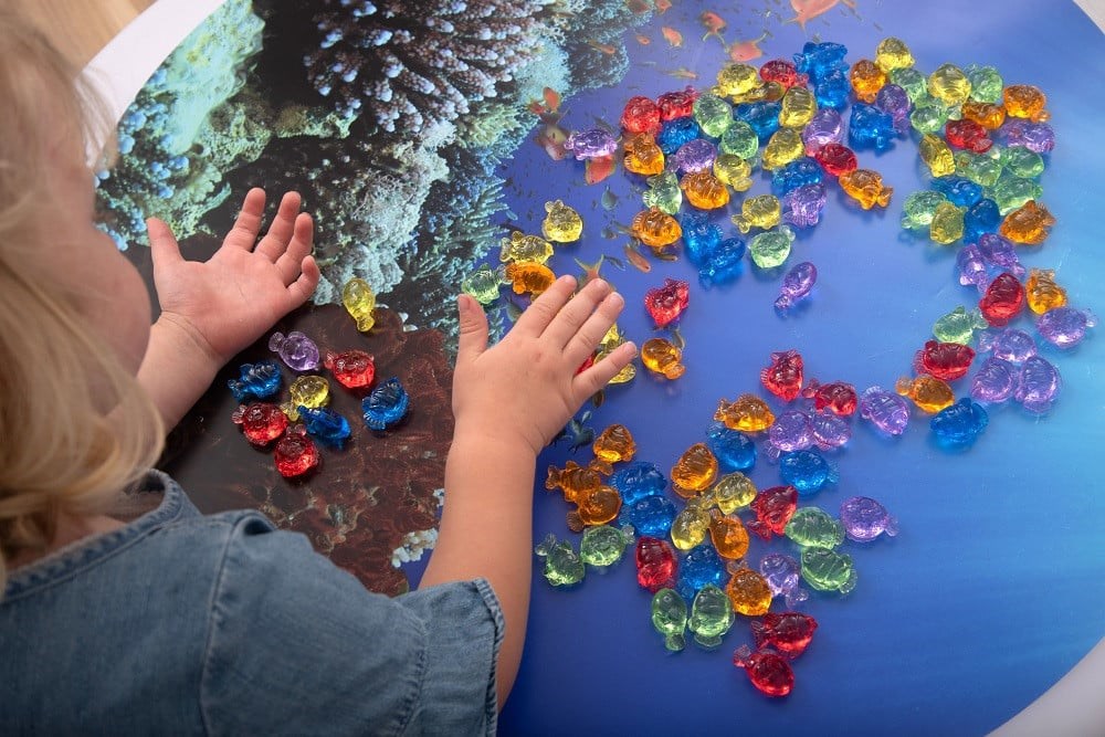 Translucent Colour Fish