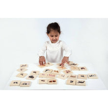 Domestic Animal Family Match