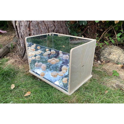 Wooden Exploratory Mirror