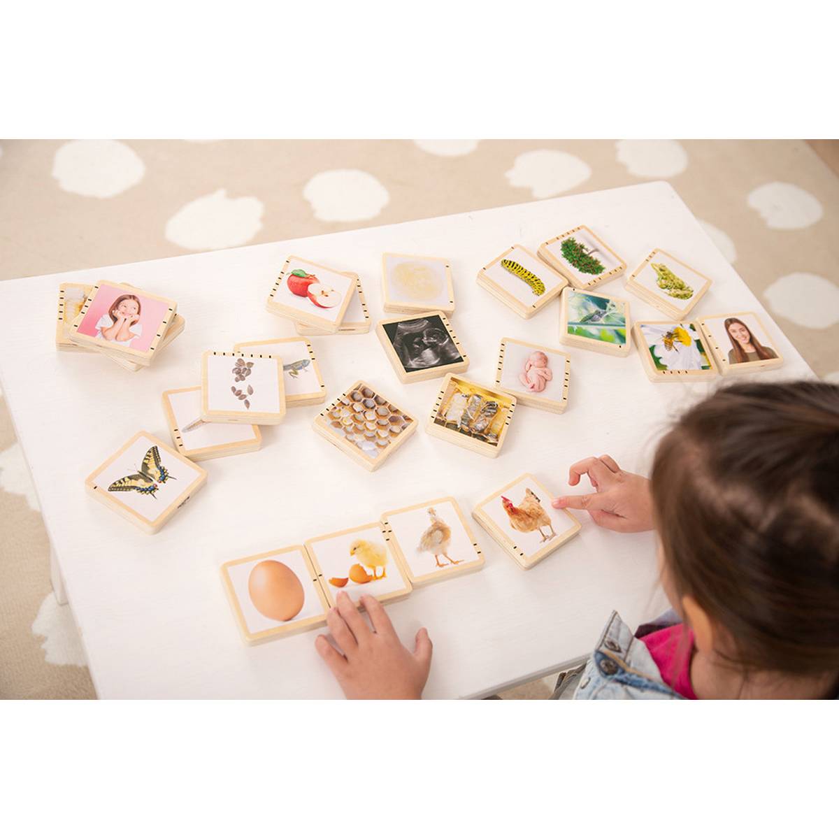 Wooden Lifecycle Tiles