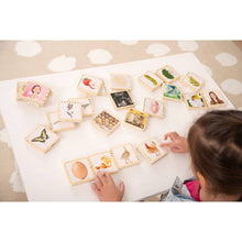 Wooden Lifecycle Tiles