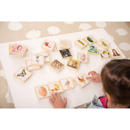 Wooden Lifecycle Tiles