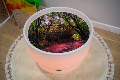 Discovery Castle Bundle