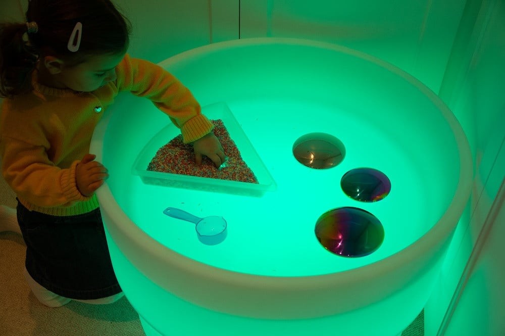 Large Discovery Trays Pack of 6